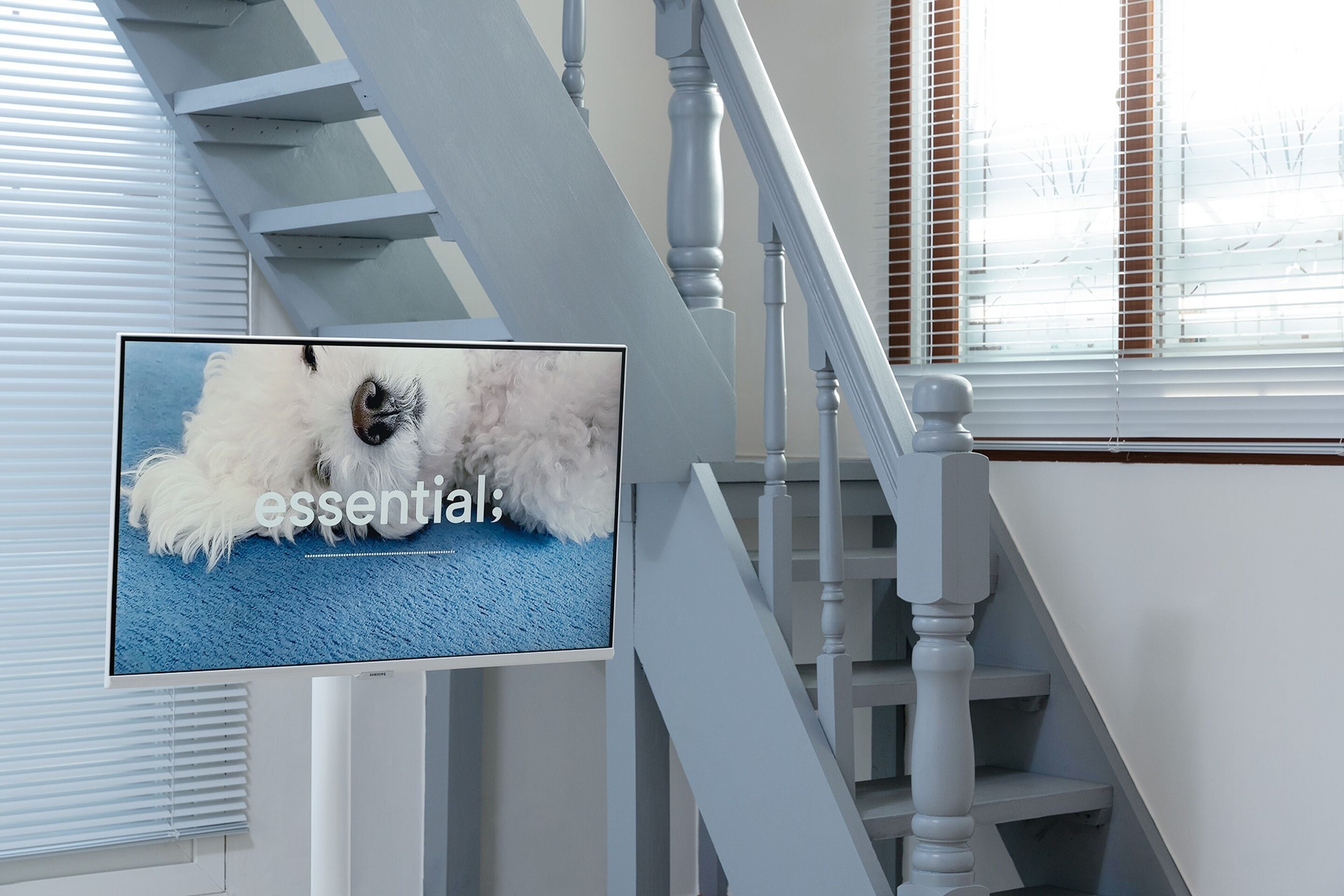 Habitación básica, 1 habitación (104(Pet-friendly)) | 1 habitación y wifi gratis 