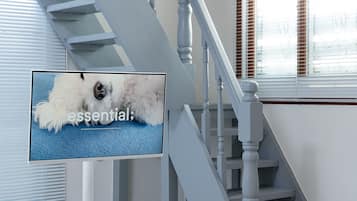 Habitación básica, 1 habitación (104(Pet-friendly)) | 1 habitación y wifi gratis