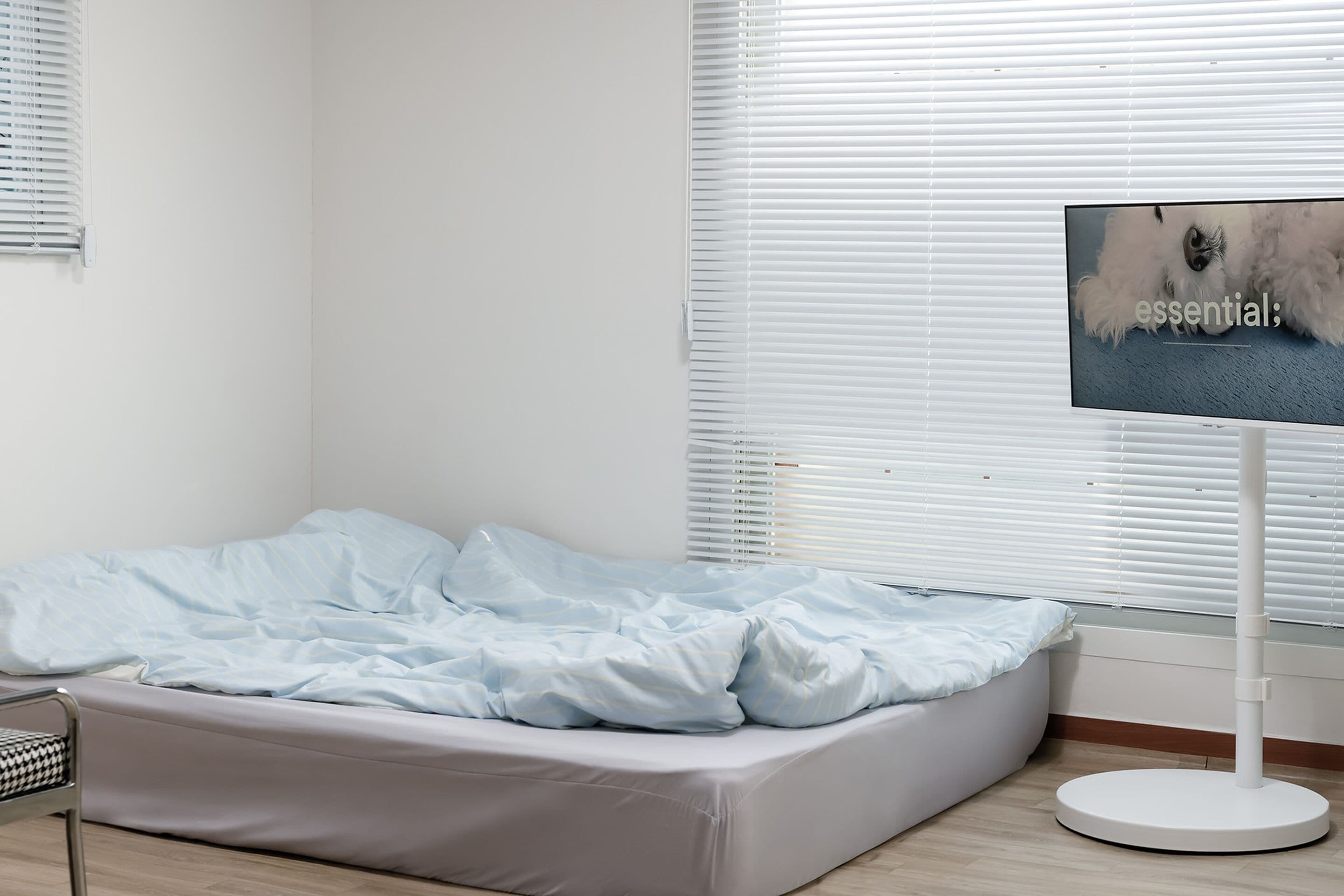 Basic Room, 1 Bedroom (104(Pet-friendly,2F)) | 1 bedroom, free WiFi