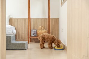 Habitación básica, 2 habitaciones (Private Pool Villa) | 2 habitaciones y wifi gratis