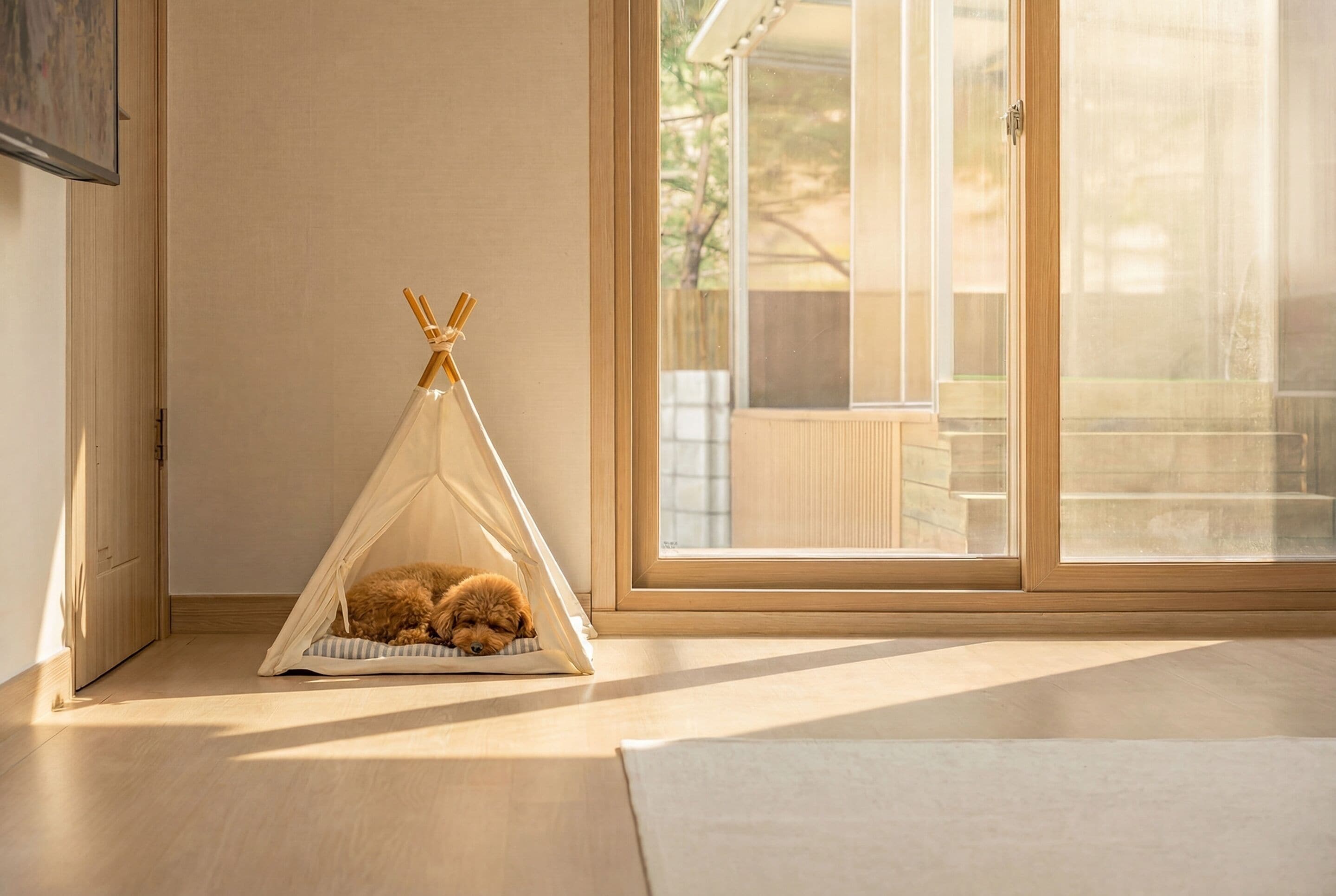 2 habitaciones y wifi gratis 