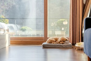 Basic-rum - 1 sovrum (Supmeong(101)) | 1 sovrum och gratis wi-fi