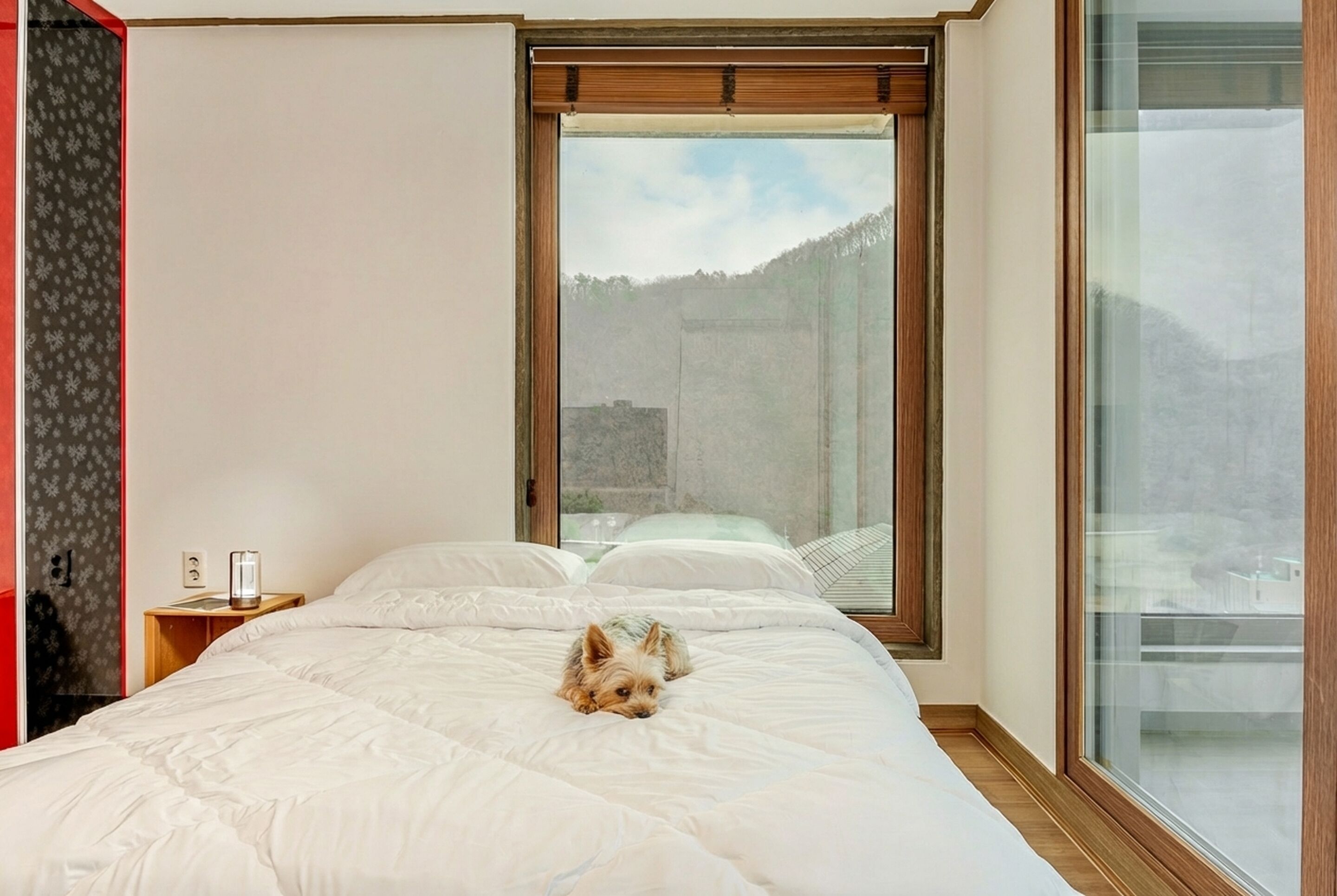 Basic-rum - 2 sovrum (haneulmeong) | 1 sovrum och gratis wi-fi