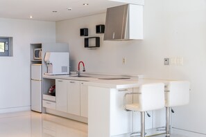 Perushuone, 1 makuuhuone (B301) | 1 makuuhuone, ilmainen Wi-Fi