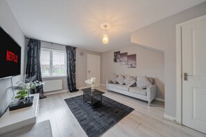 Fernseher, Kamin
