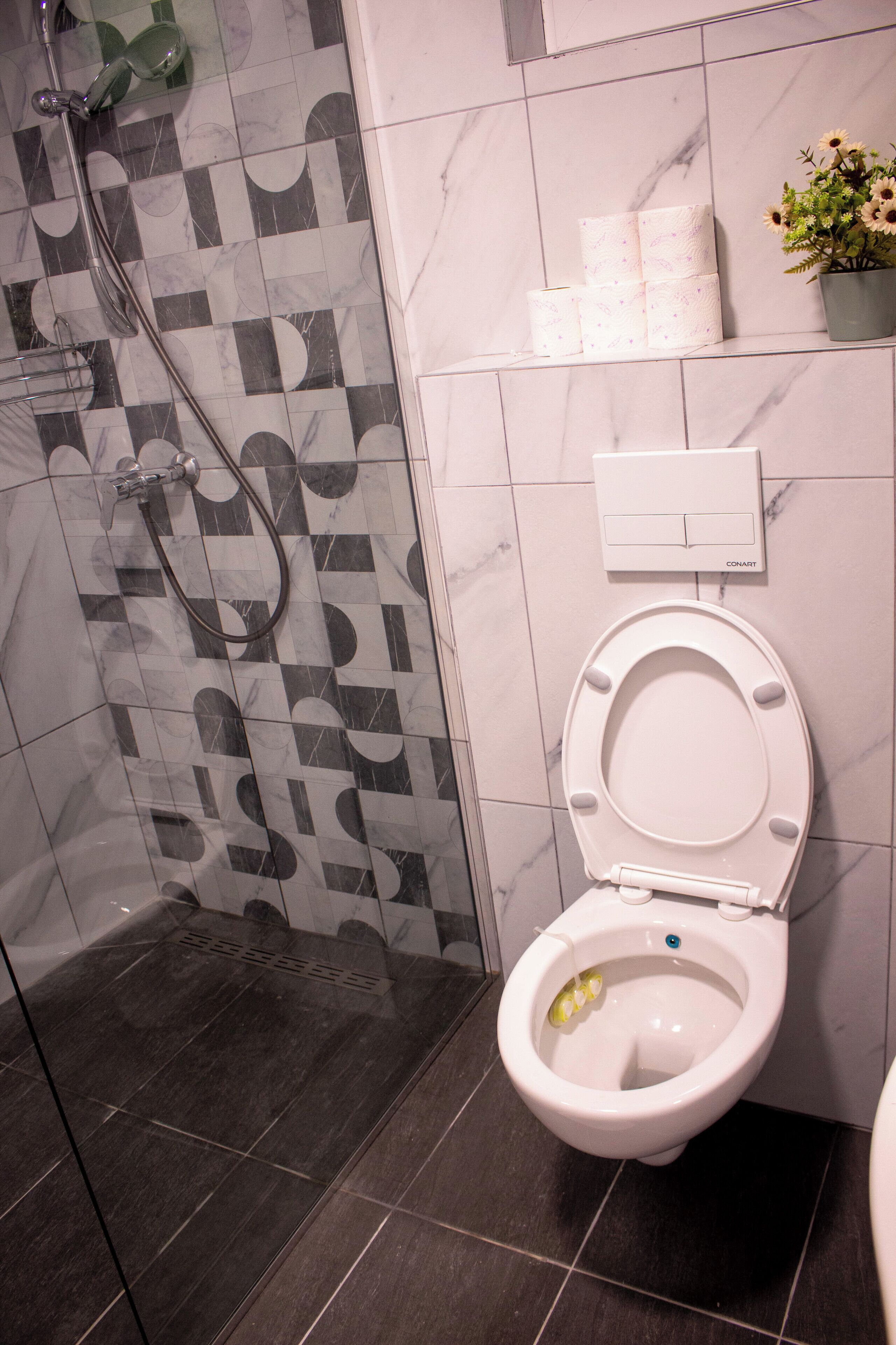 Hair dryer, towels, soap, toilet paper