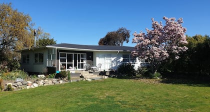 Room-single Room With King Single bed -