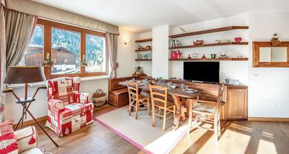 Charming Apartment Close to Cableway