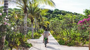 Un uomo in moto su un sentiero sterrato, circondato da vegetazione rigogliosa e palme.