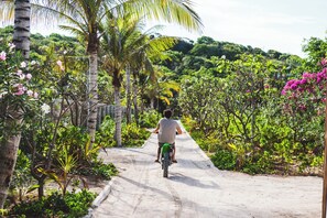 Un home conduint una moto per un camí de terra envoltat de vegetació exuberant i palmeres.