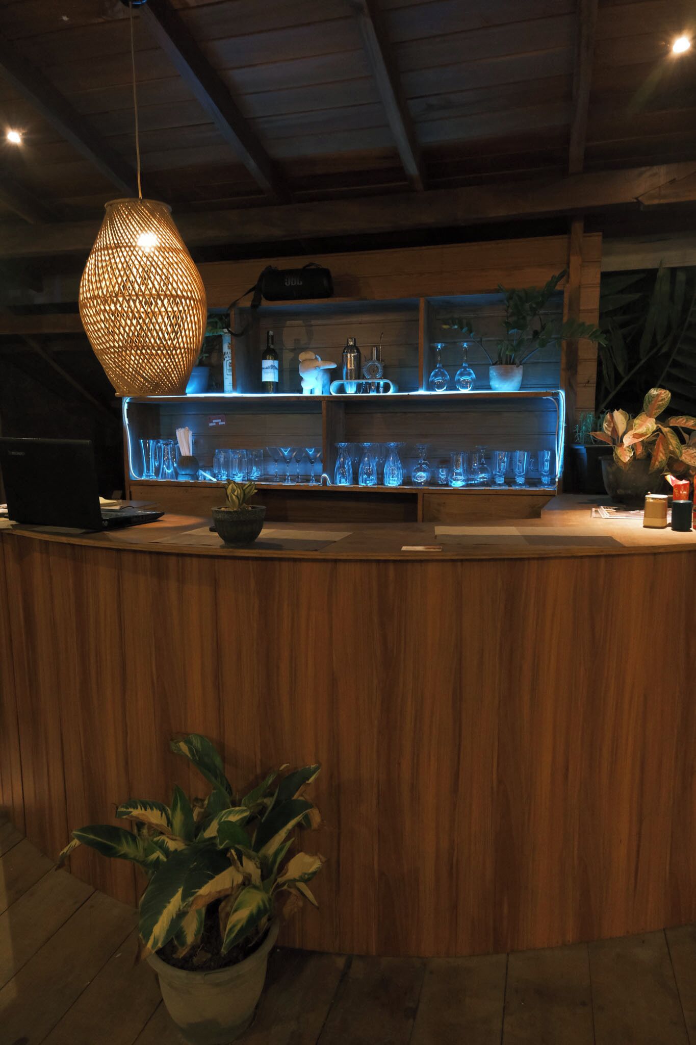 A wooden reception desk with a hanging light fixture, a laptop, and a potted plant.