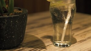 A glass of iced drink with a straw and a slice of lime, placed on a wooden surface next to a potted plant.