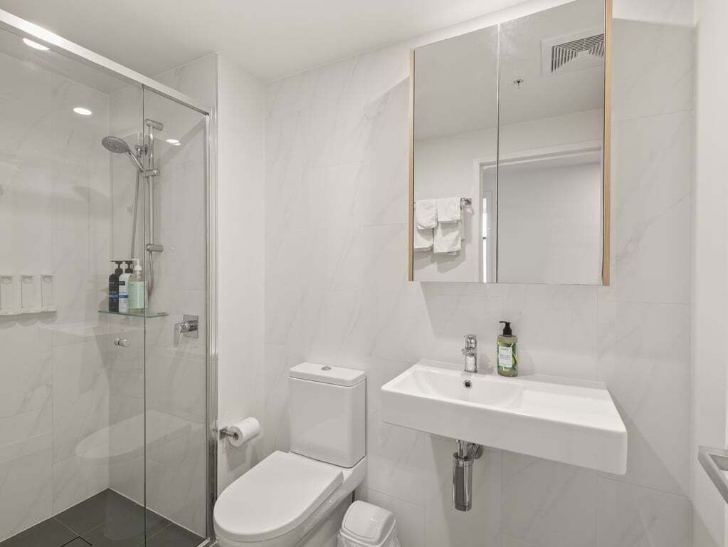 Hair dryer, towels, shampoo, toilet paper