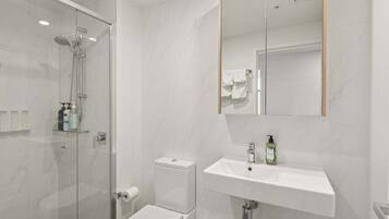 Hair dryer, towels, shampoo, toilet paper