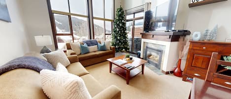 Smart TV, fireplace, DVD player, books