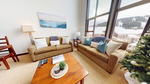 Smart TV, fireplace, DVD player, books