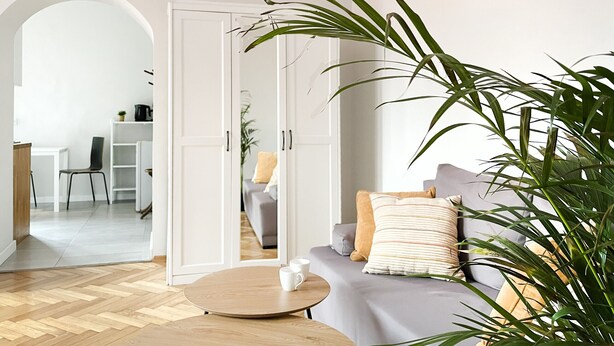 Un salon moderne avec un canapé, une table basse et une grande plante.