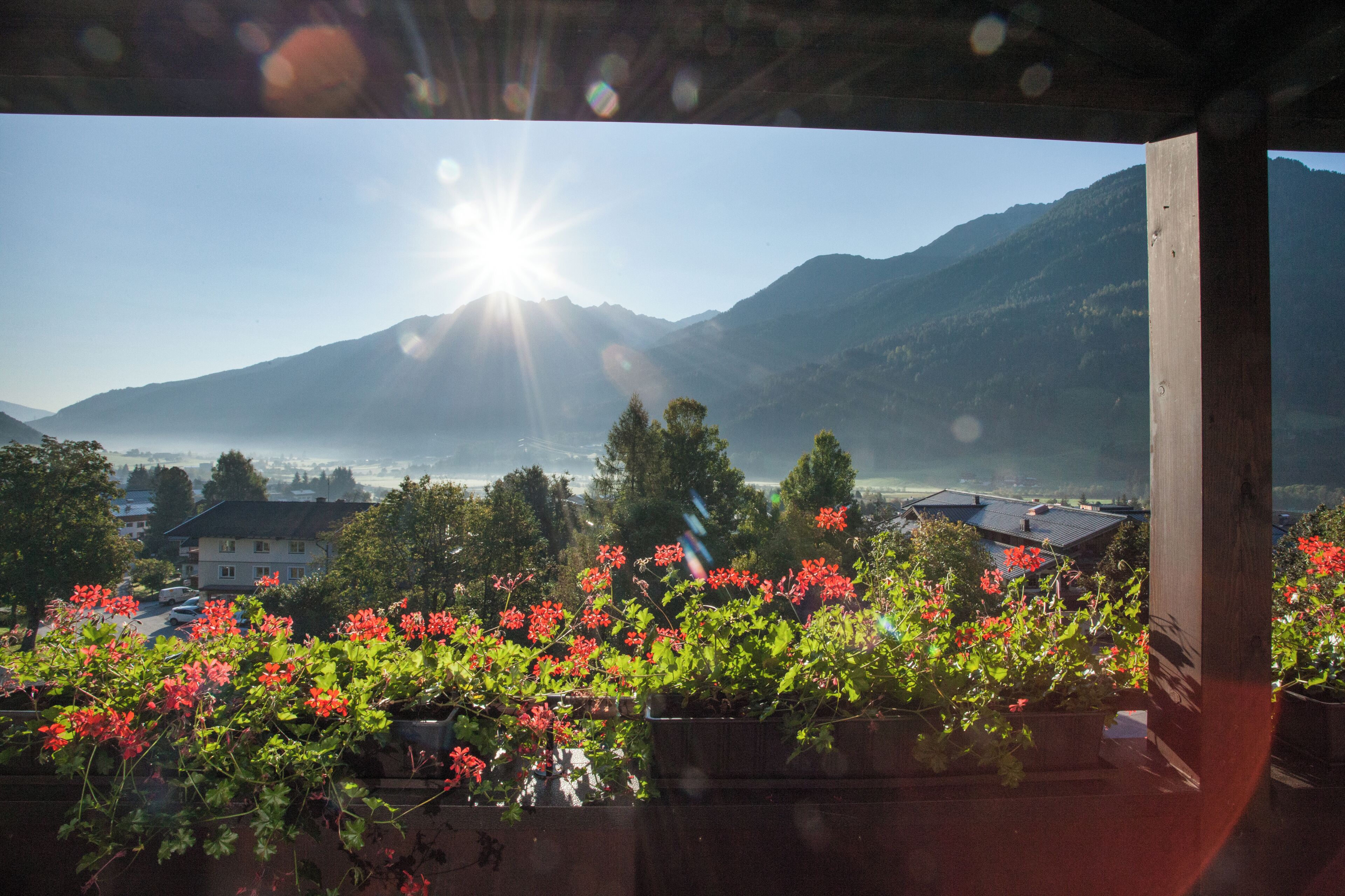 Un paysage de montagne avec un lac, des maisons et des fleurs rouges au premier plan.