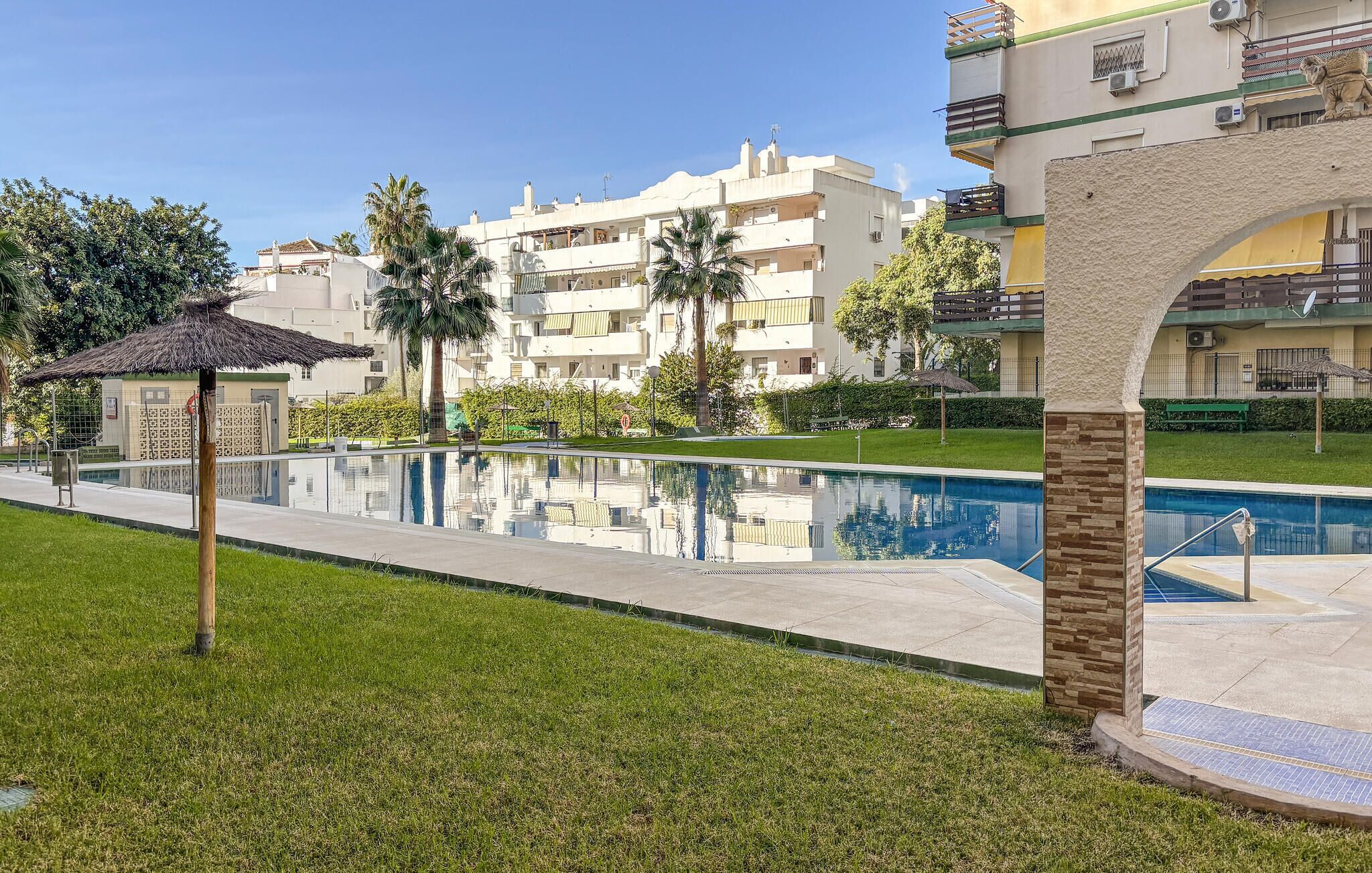 A swimming pool with a thatched umbrella, surrounded by well-maintained grass and palm trees.