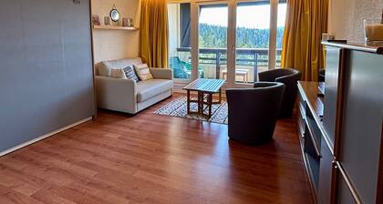 Charming studio on the slopes in Villard-de-Lans