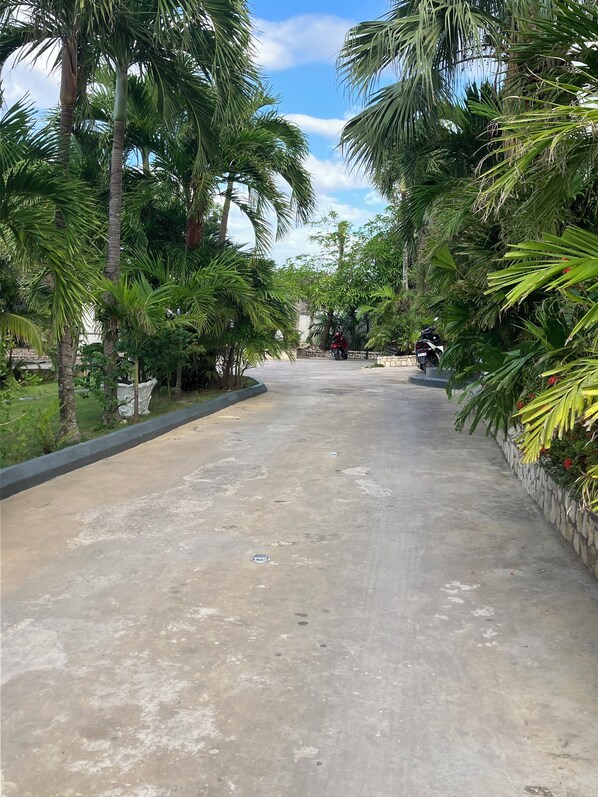 Property grounds - Sour Dough (West End)