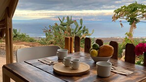 A wooden table with a view of the sea, a cactus plant, and a bowl of fruit and bread.