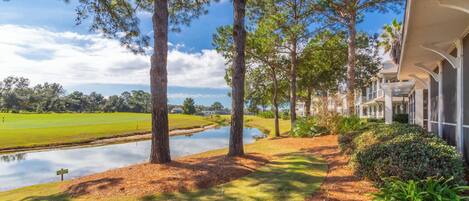 A pathway leading to a building with a pond and trees.