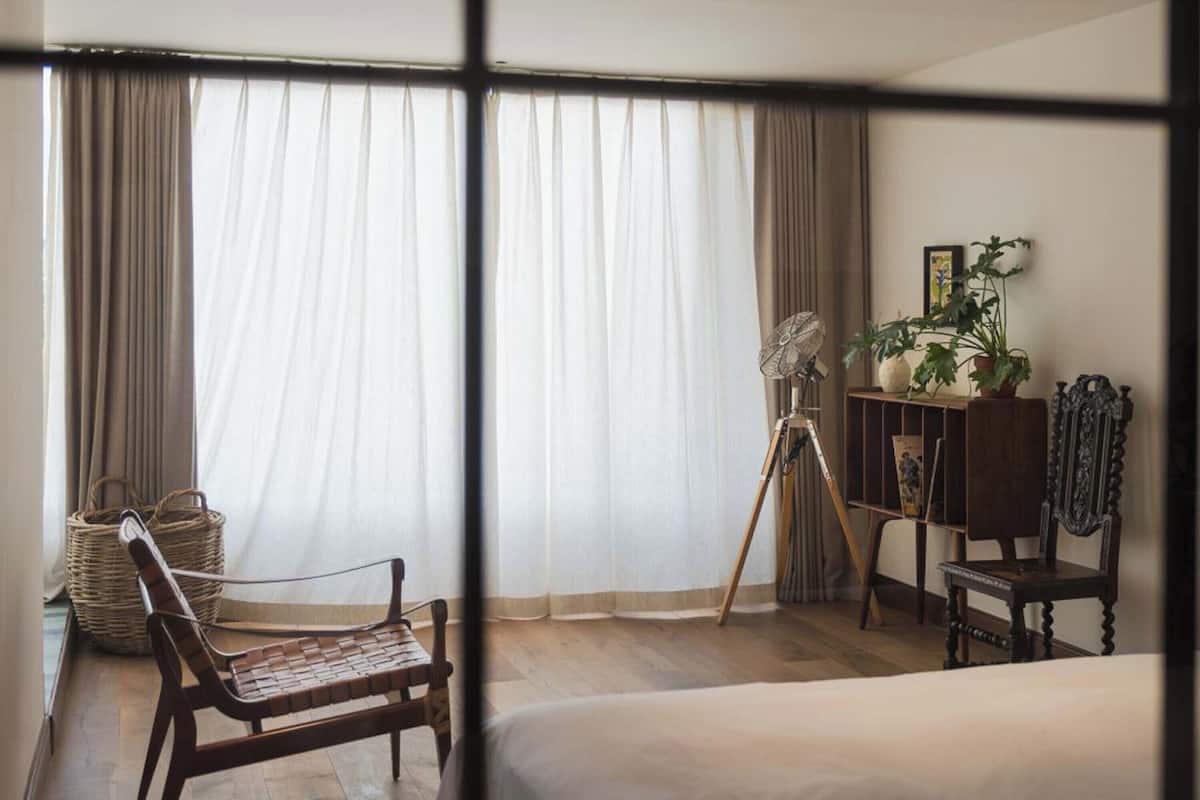 Habitación de hotel con cama, una silla de madera, una cesta de mimbre, un trípode y un estante con plantas y un marco de fotos.