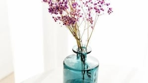 A brochure titled "IL TUO SOGGIORNO NEL CENTRO CITTÀ" on a table with a blue vase containing purple flowers. - Dimora Margherita (Caserta)