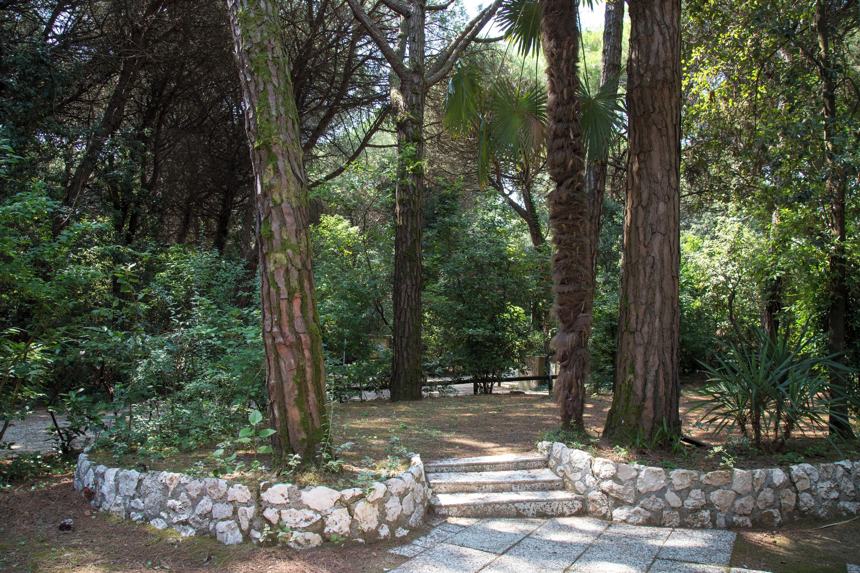 Bungalow, 2 kamar tidur, patio, pemandangan kebun | Taman