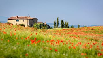 Bungalow, 2 kamar tidur, patio, pemandangan kebun | Eksterior