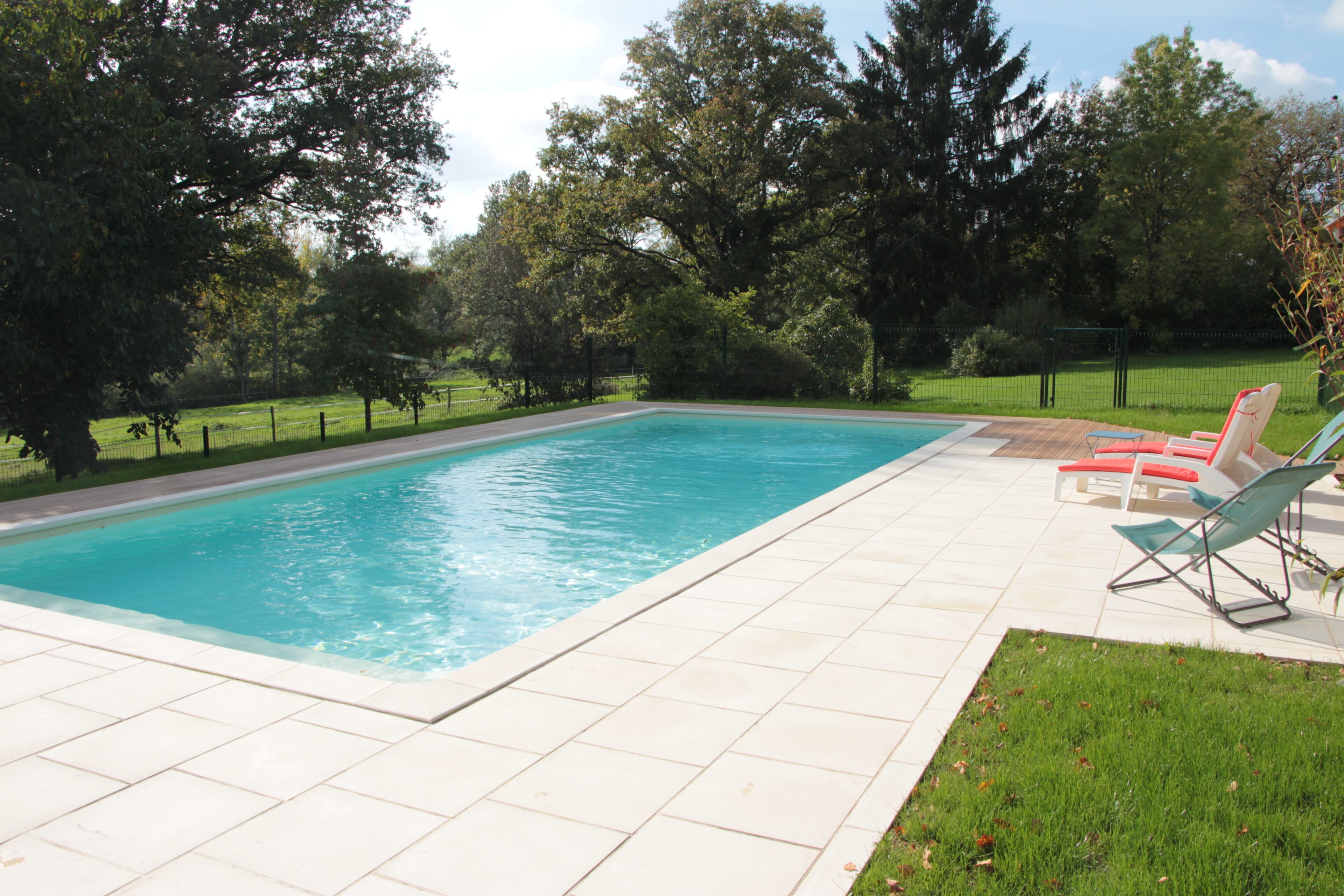 A rectangular swimming pool with a tiled deck, surrounded by trees and a grassy area.