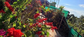 D's Mayaavea Homestay