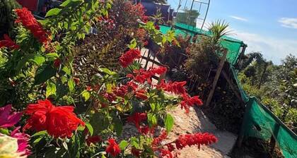 D's Mayaavea Homestay