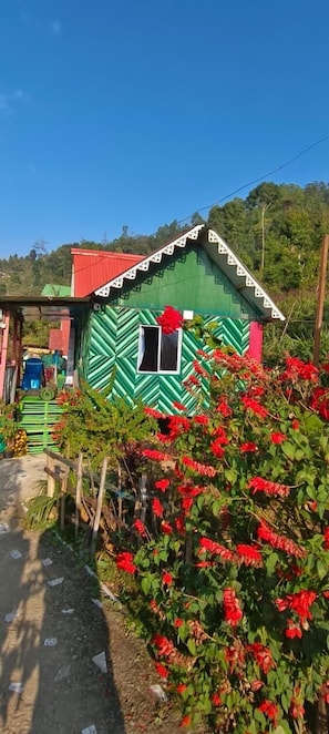 Front of property - D's Mayaavea Homestay (Kalimpong)