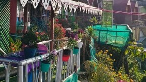 A garden area with a pathway, potted plants, and a building with a distinctive roof design.
