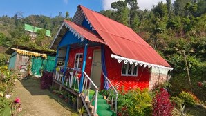 A small, colorful house with a red roof and blue walls, surrounded by lush greenery and a garden path.