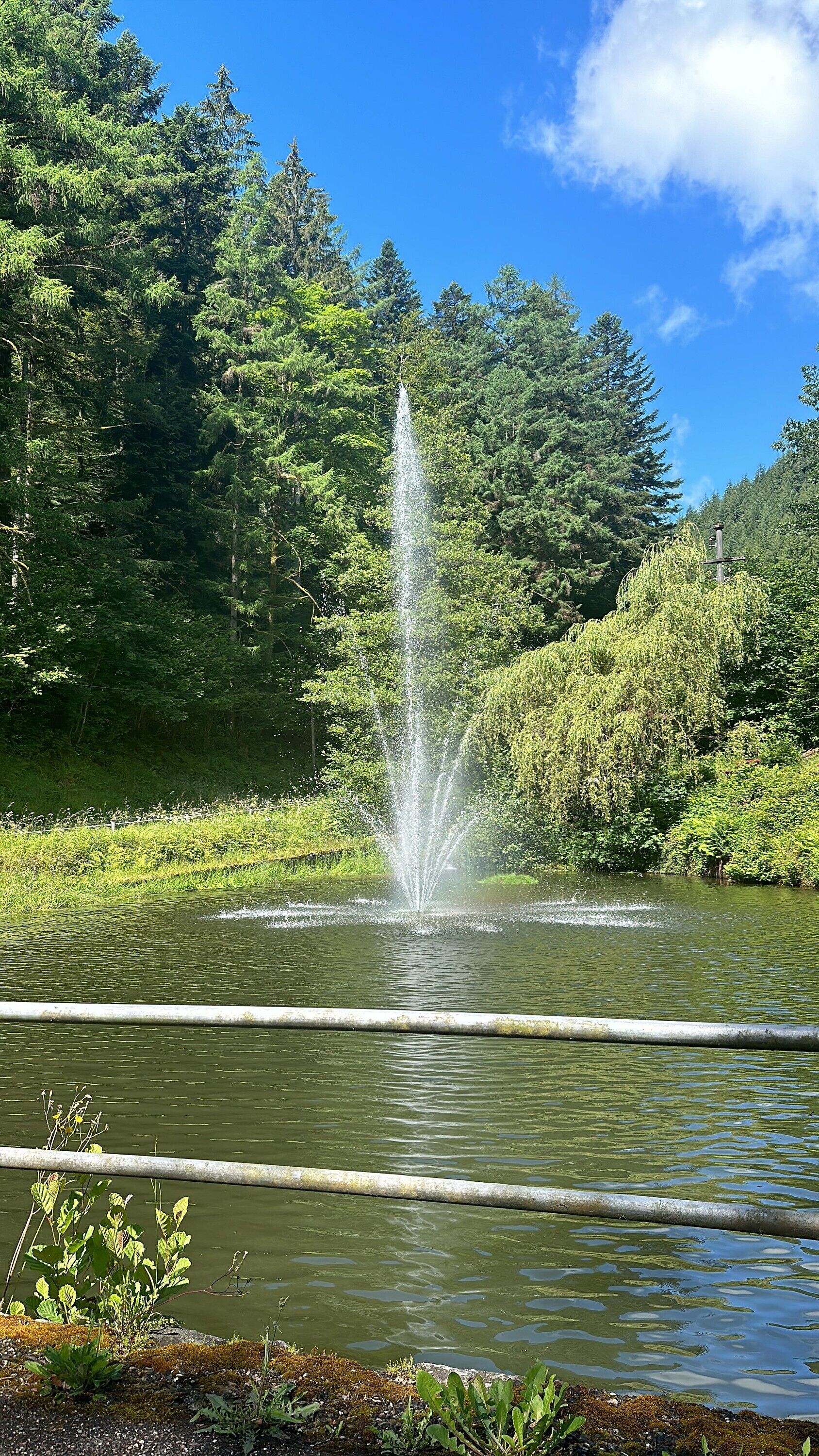 Enceinte de l’hébergement