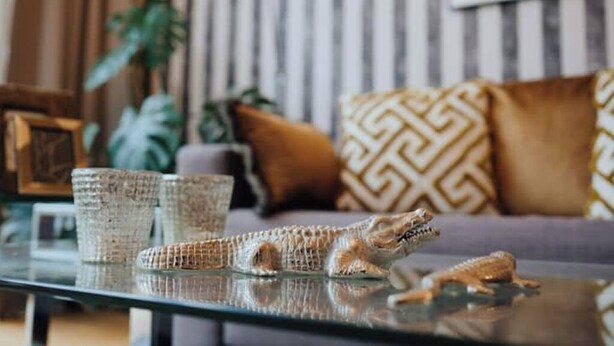 A living room with a glass coffee table, a sofa with patterned cushions, and a decorative alligator figurine. - 2 room apartment in Hamburg for 6 people (Hamburg)
