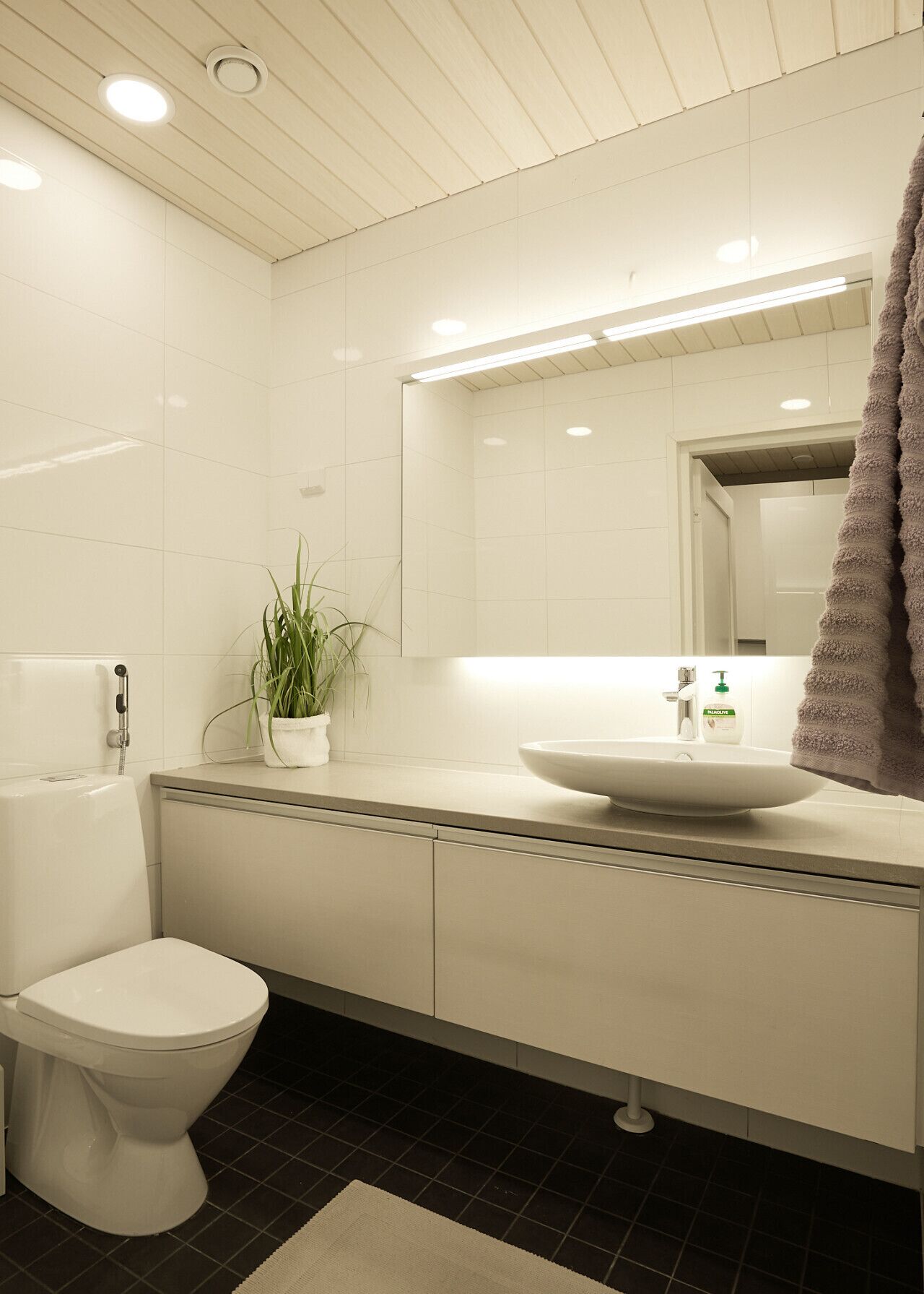 Ein modernes Badezimmer mit einer weißen Toilette, einem Waschbecken mit Spiegel darüber und einer Topfpflanze auf der Ablagefläche.