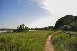 Appartement, 2 chambres, balcon, vue ville | Extérieur