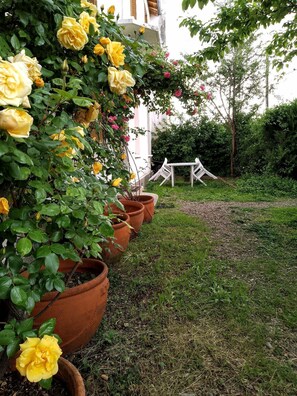 المنطقة المحيطة بالمنشأة