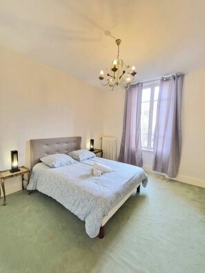 Iron/ironing board, internet, bed sheets - Charming apartment/terrace in the center of town (Clermont-Ferrand)