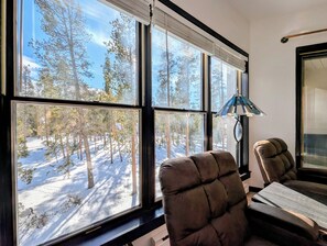 Interior - New! Updated, Free Shuttle, Pool & Hot Tub (Keystone)