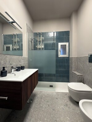 Regadera, secadora de cabello, bidet, toallas 