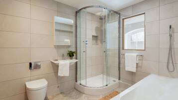 Shower, hair dryer