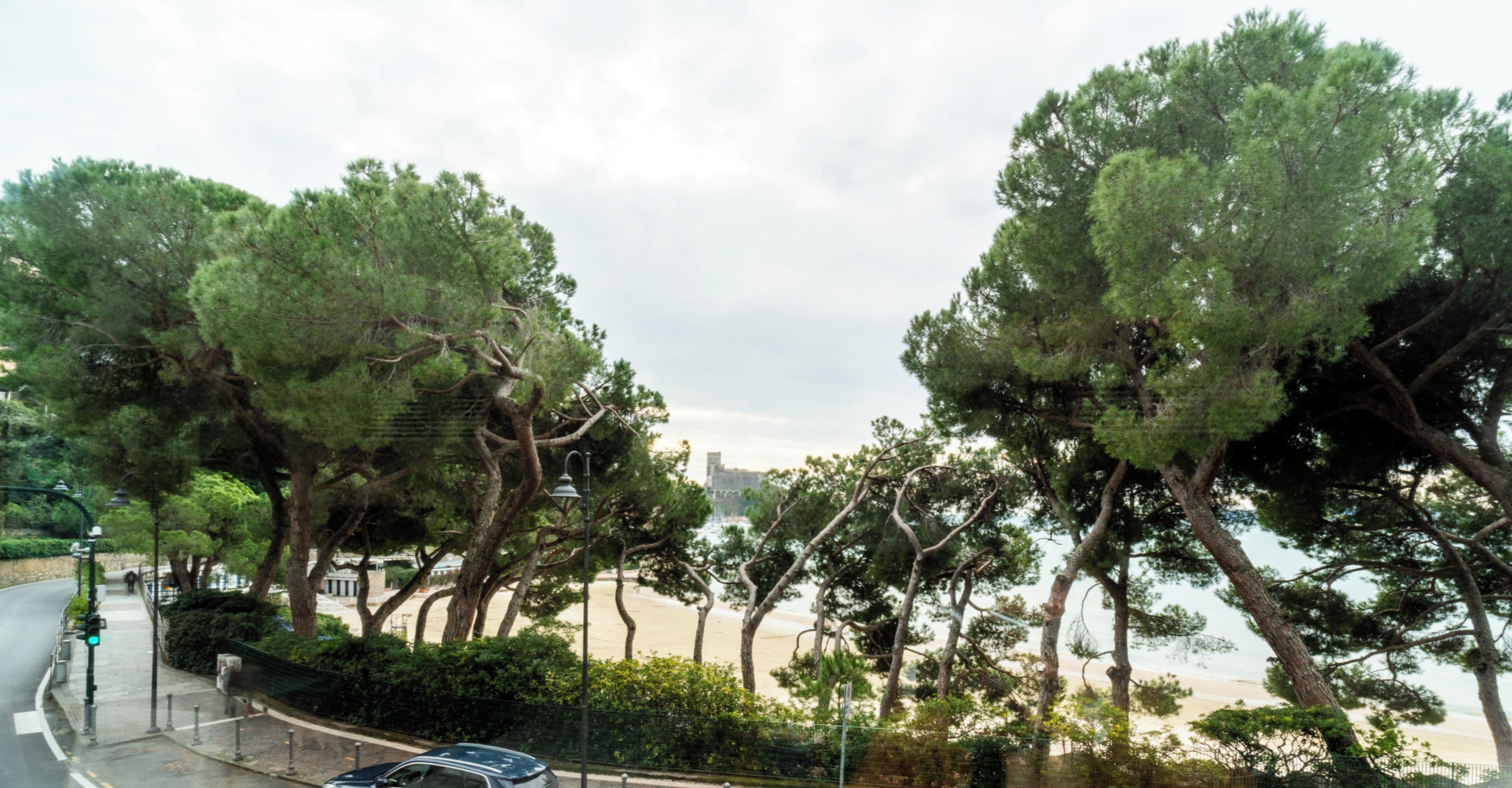 A coastal road lined with trees and a beach in the distance.