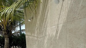 A modern outdoor wall with a built-in water feature and a palm tree. - Caribbean 2BR Apartment - Facing the pool (Punta Cana)