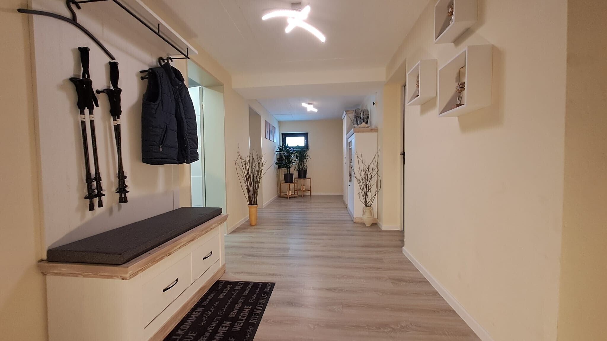 Un couloir avec un banc, des objets fixés au mur et une plante en pot.