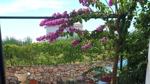 Apartment, 1 Bedroom, Accessible, Smoking | Terrace/patio - Studio Apartman Maslina in Zaglavice With Great View (Marina)